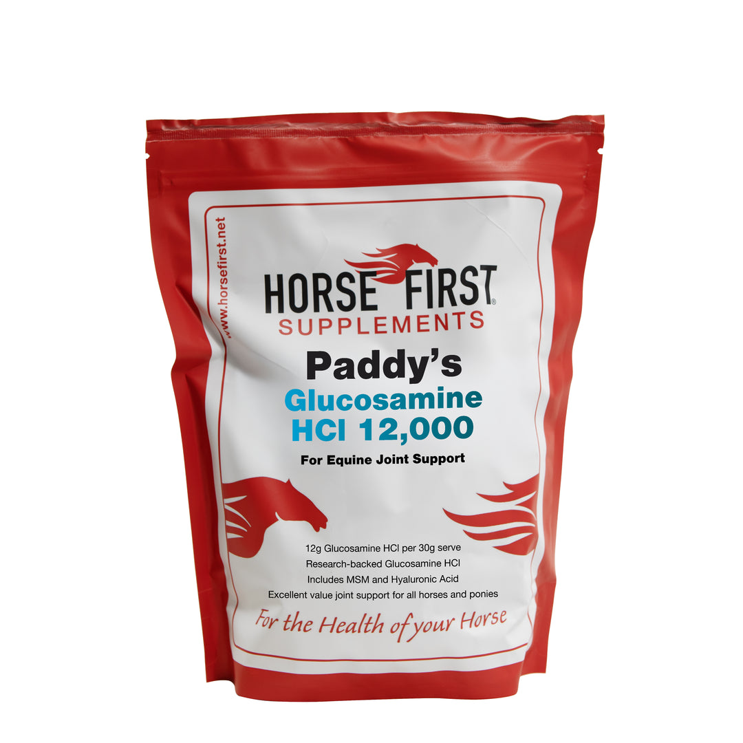 Paddy's Glucosamine HCI 12,000 1kg