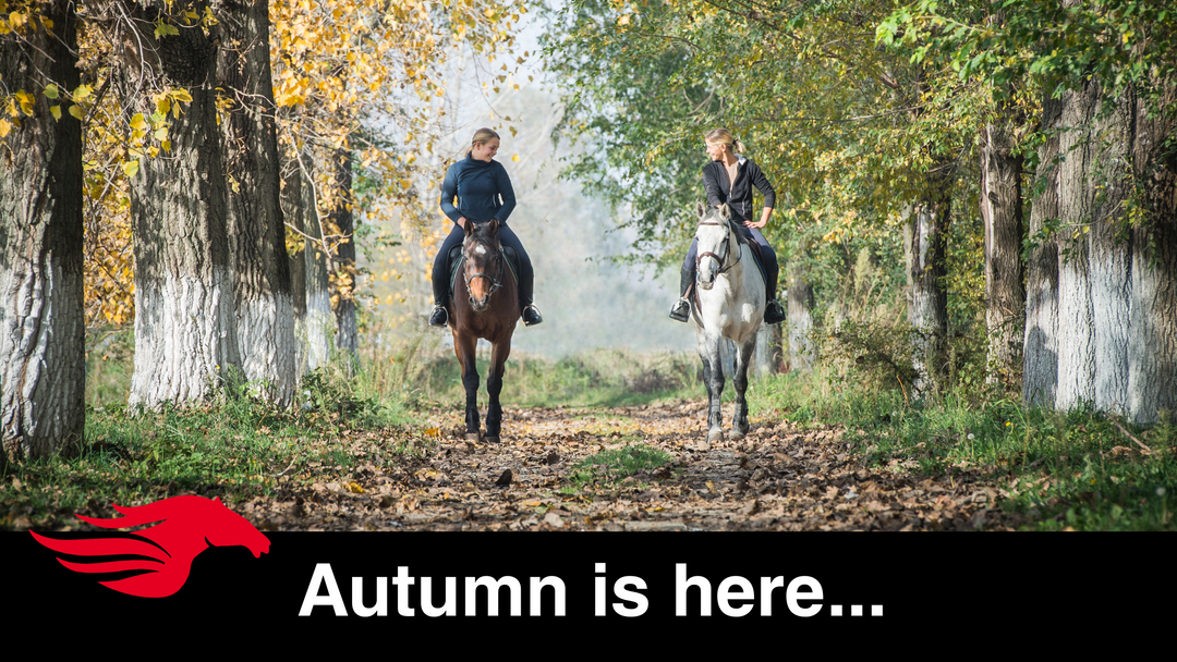 Autum is here -- Boosting Your Horse’s Immune System as Temperatures Drop.