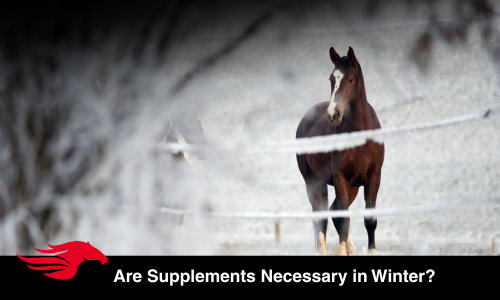 Are Supplements Necessary in Winter?
