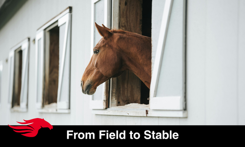 From Field to Stable