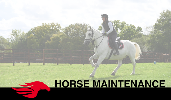 Horse Maintenance ahead of the winter months