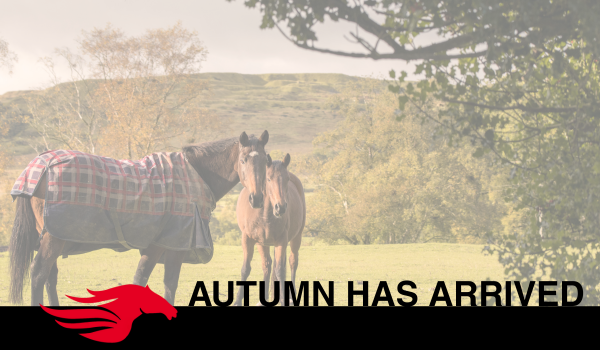 Autum is here -- Boosting Your Horse’s Immune System as Temperatures Drop.
