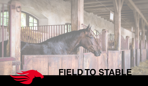 From Field to Stable