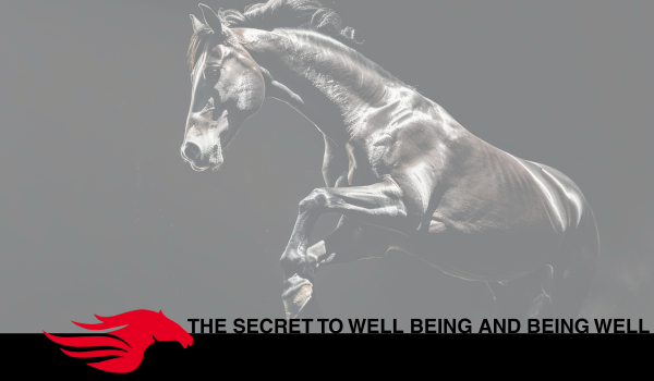 The secret to Well Being and Being Well