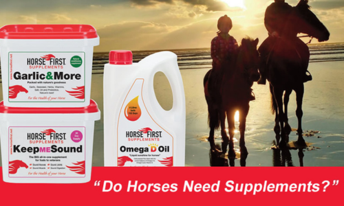 Do Horses Need Supplements?