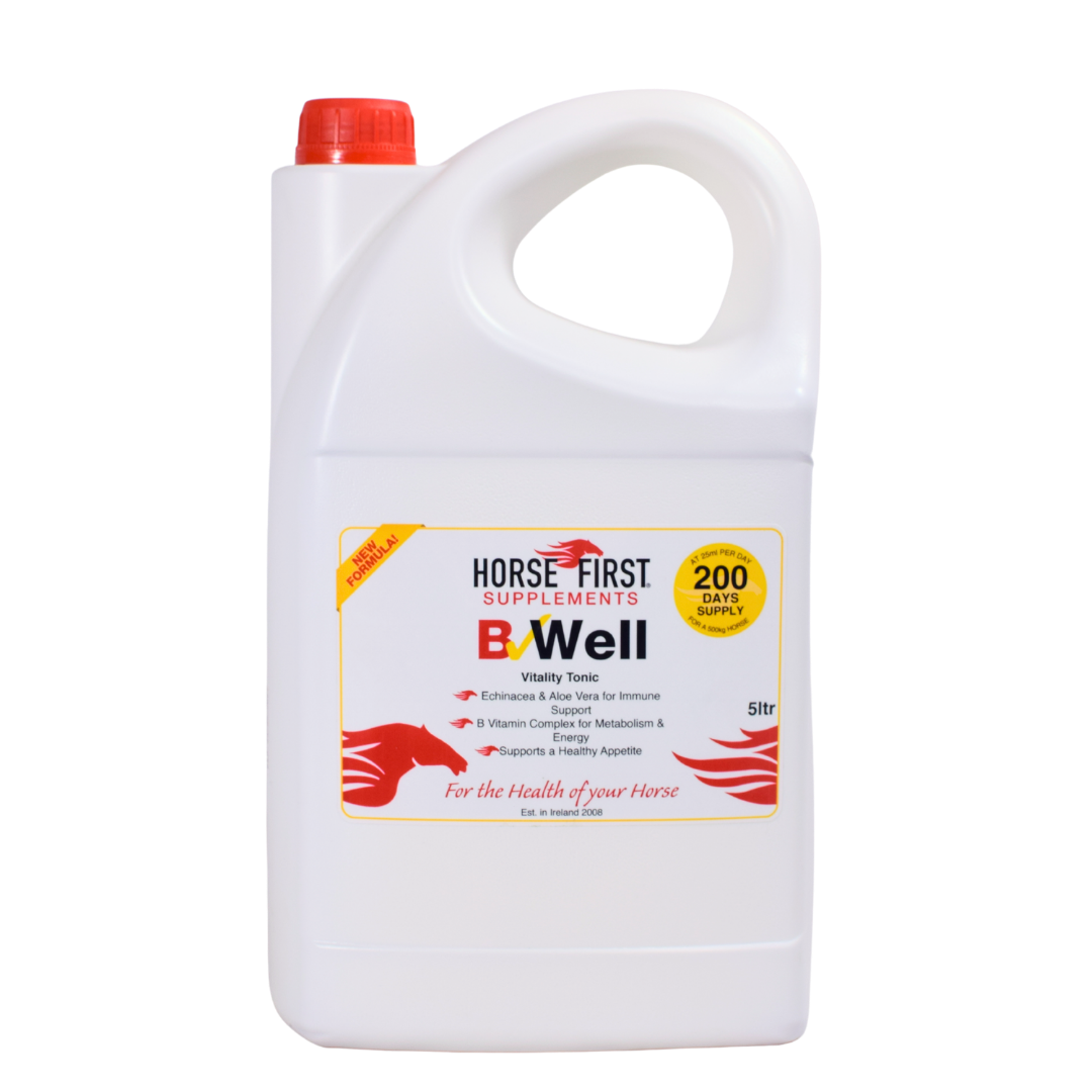 White container of Horse First Supplements BWell on a white background