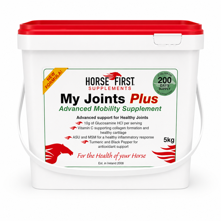 My Joints Plus