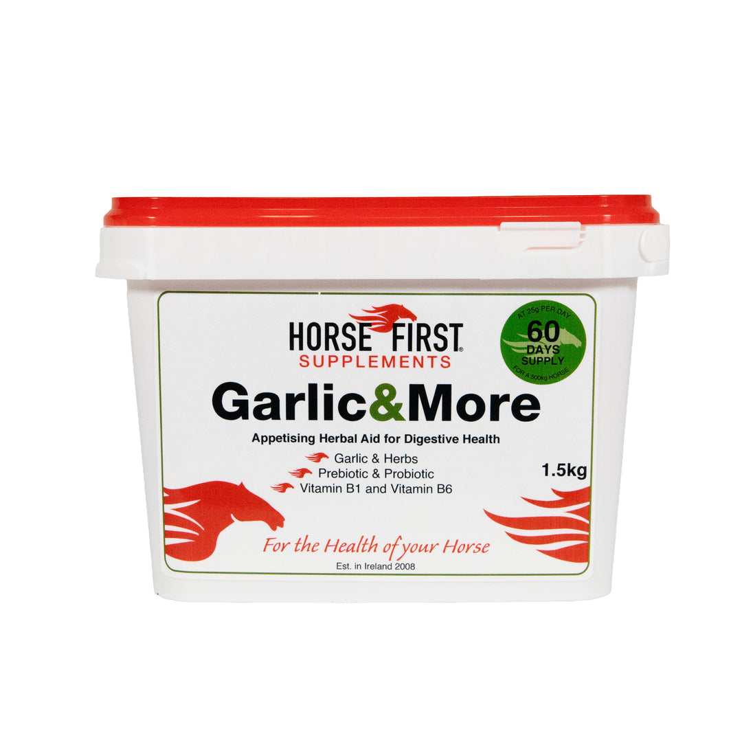 Horse First Supplements Garlic & More container on a white background