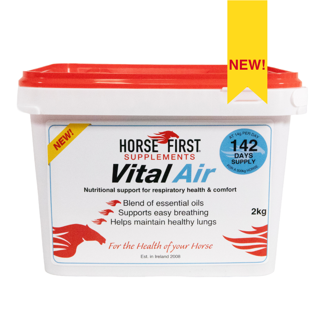 Vital Air Powder