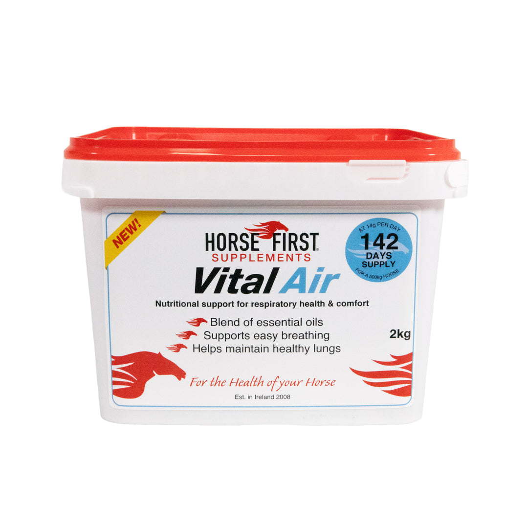 Vital Air Powder