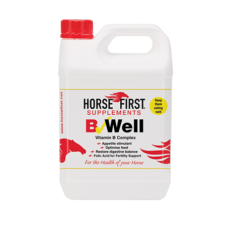 B Well - 2.5 Litre