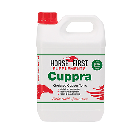 Cuppra 2.5 Litre