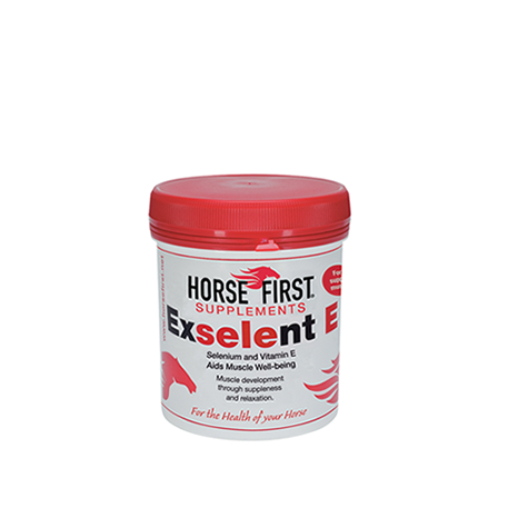 Exselent E - 1Kg